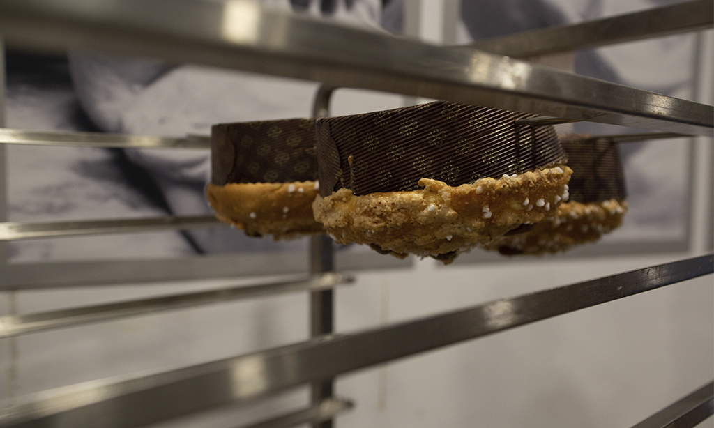 Panettone, curso,